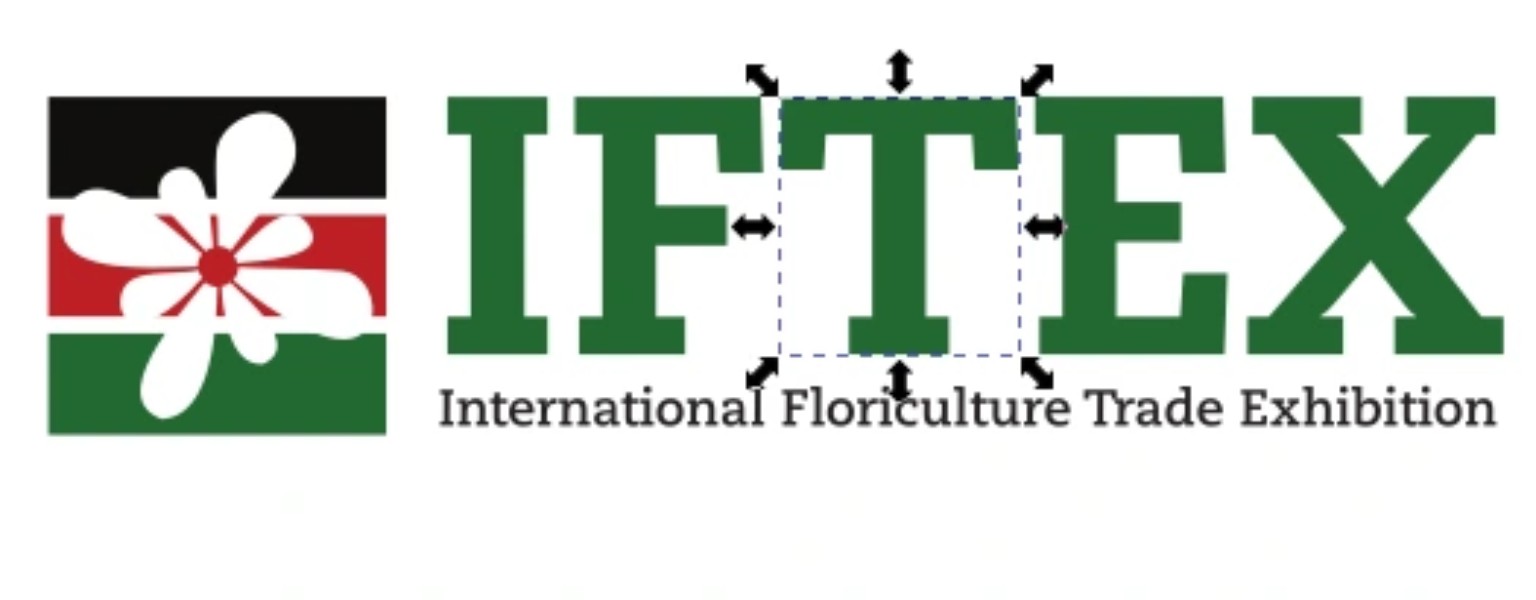 IFTEX design preview